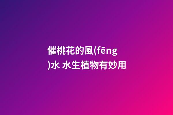 催桃花的風(fēng)水 水生植物有妙用